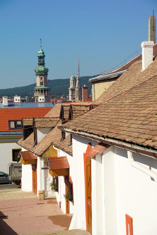 Vinosseum Bor- Es Apartmanhaz Sopron Eksteriør billede